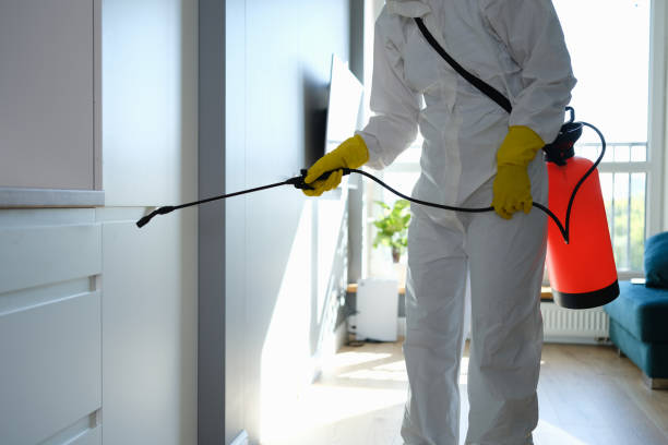 Best Residential Mold Removal  in New Market, TN